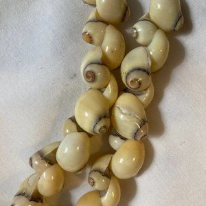 NWT 2 Strands of Cream and Brown seashells
